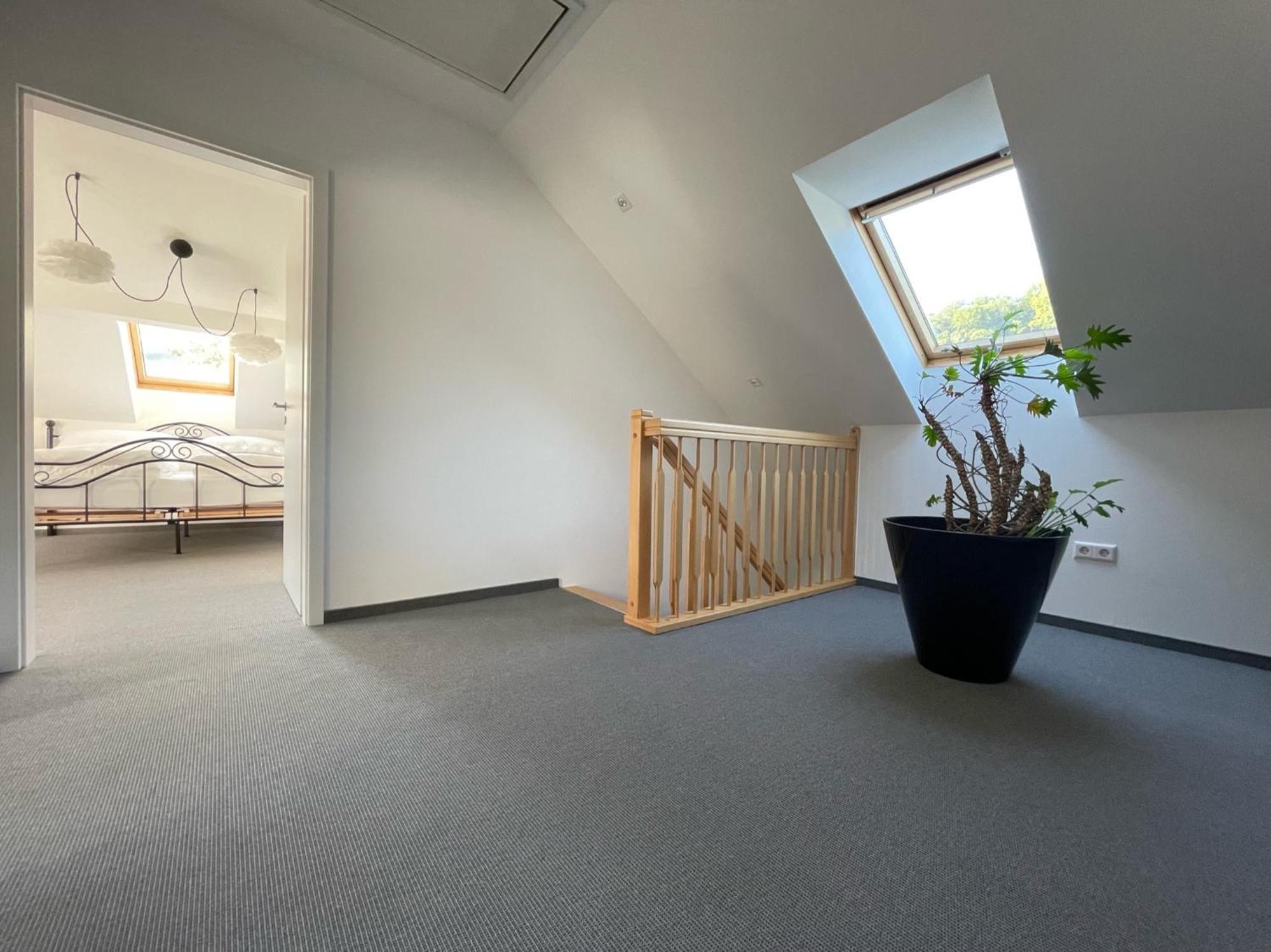 Stilvolle Wohnung Fuer 2-3 Personen - Mit Riesiger Dachterrasse Haigerloch Exteriér fotografie